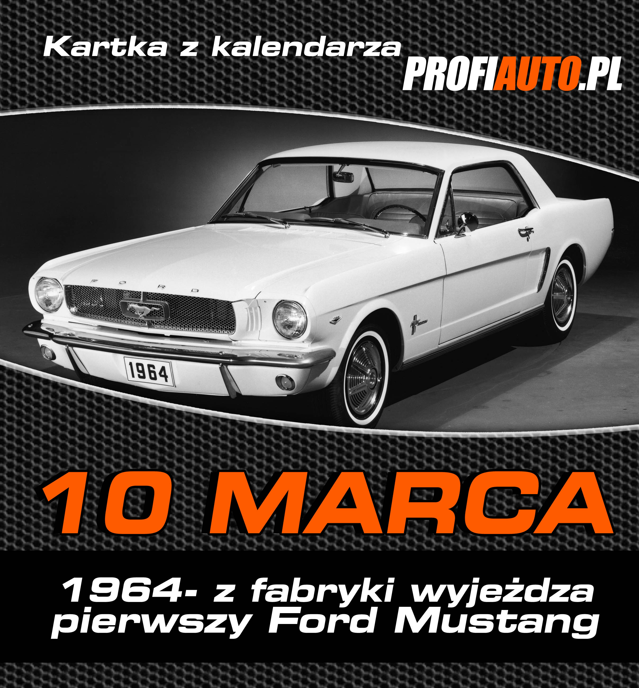 10_mar.jpg