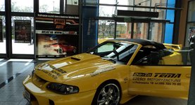 Tema wraz z ProfiAuto w Galerii Handlowej