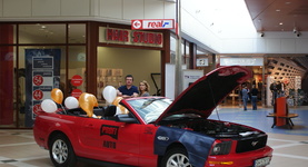 Mustang w Galerii King Cross Marcelin