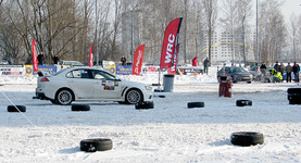 Testosteron Męski Maraton 2010
