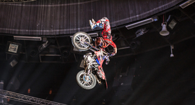 ProfiAuto Show 2015