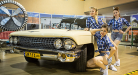 11 Targi ProfiAuto Show!