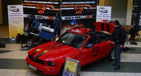 Mustang w Galerii Handlowej w Puławach