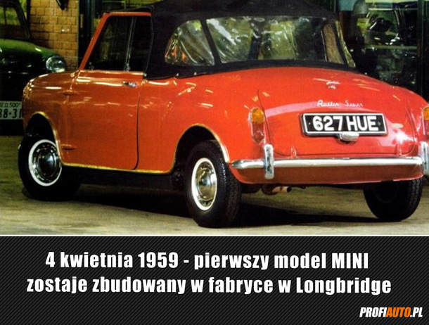 4kwi.jpg